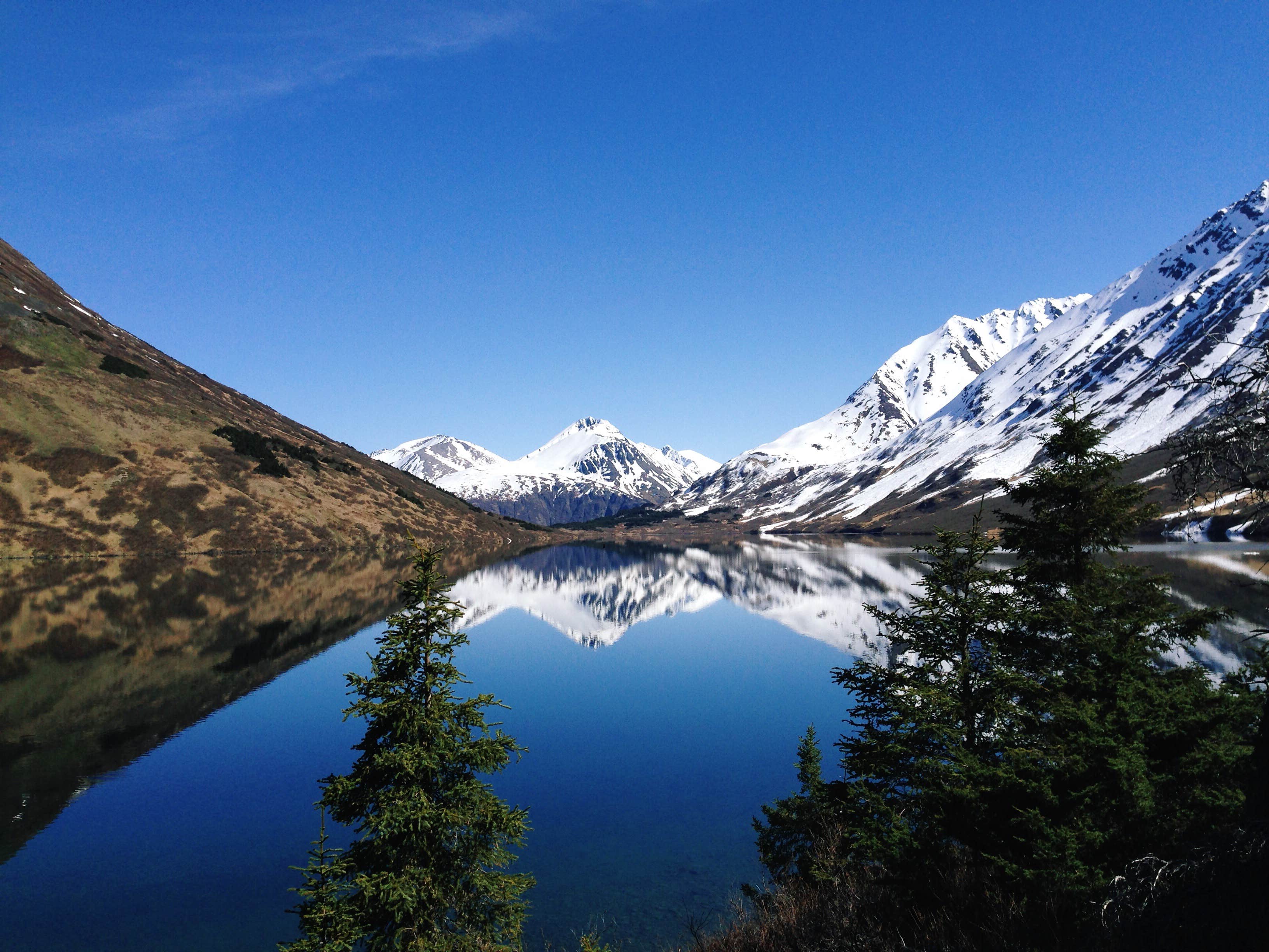 Camper submitted image from Crescent Saddle Cabin - 1