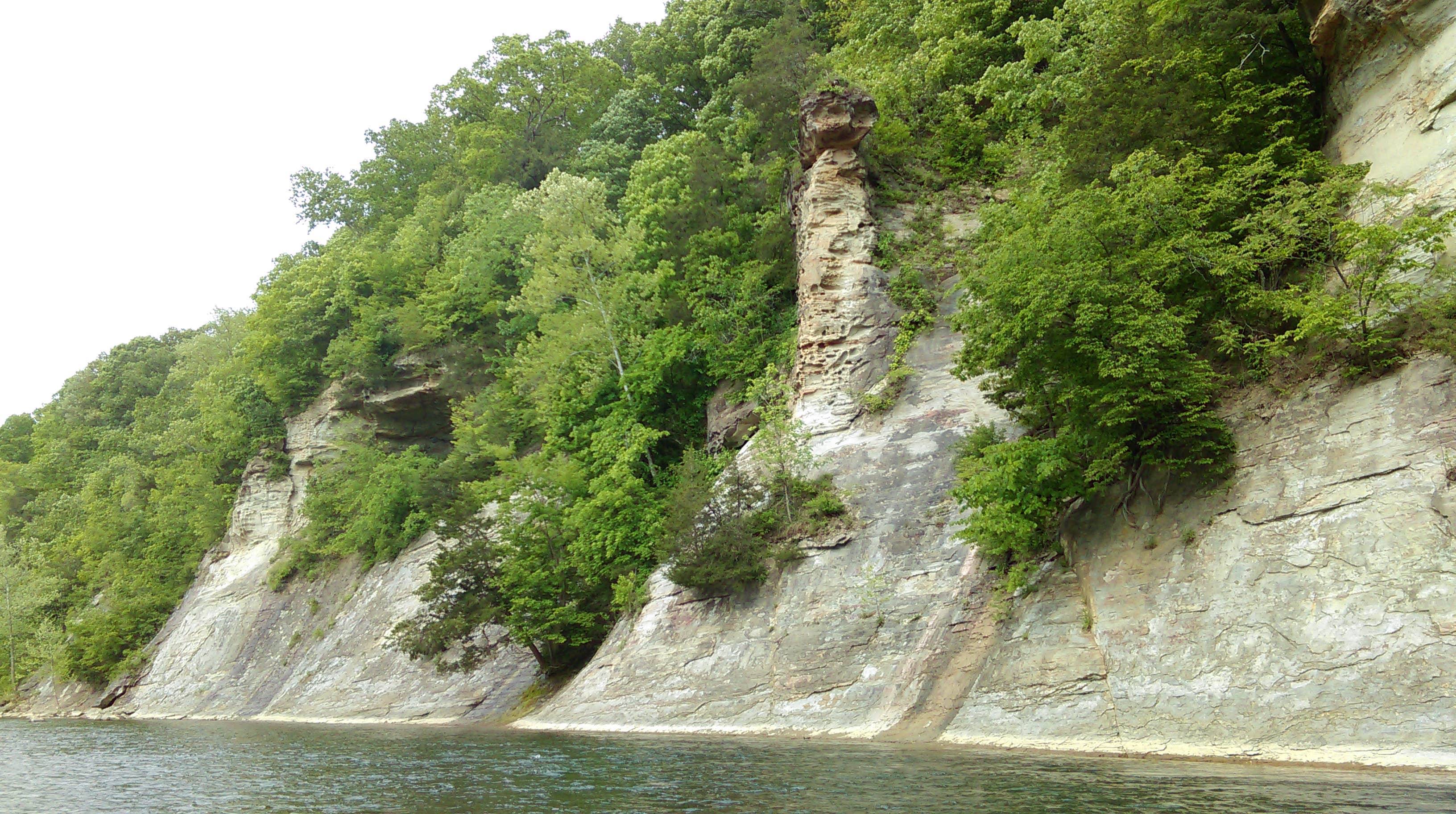 Camper submitted image from Shades State Park Campground - 4