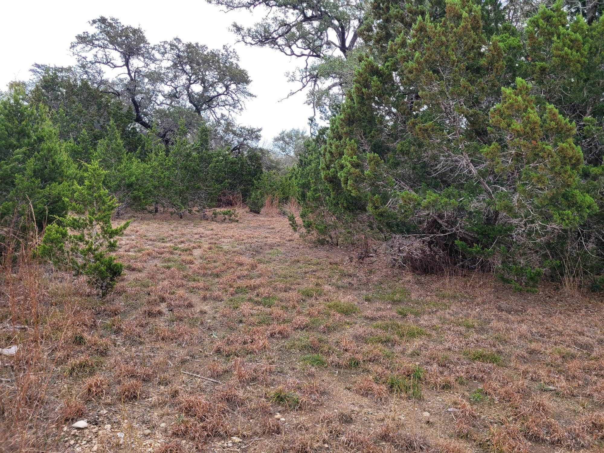 Camper-submitted photo at Al's Hideaway Cabin and RV Rentals, LLC near Bandera, TX
