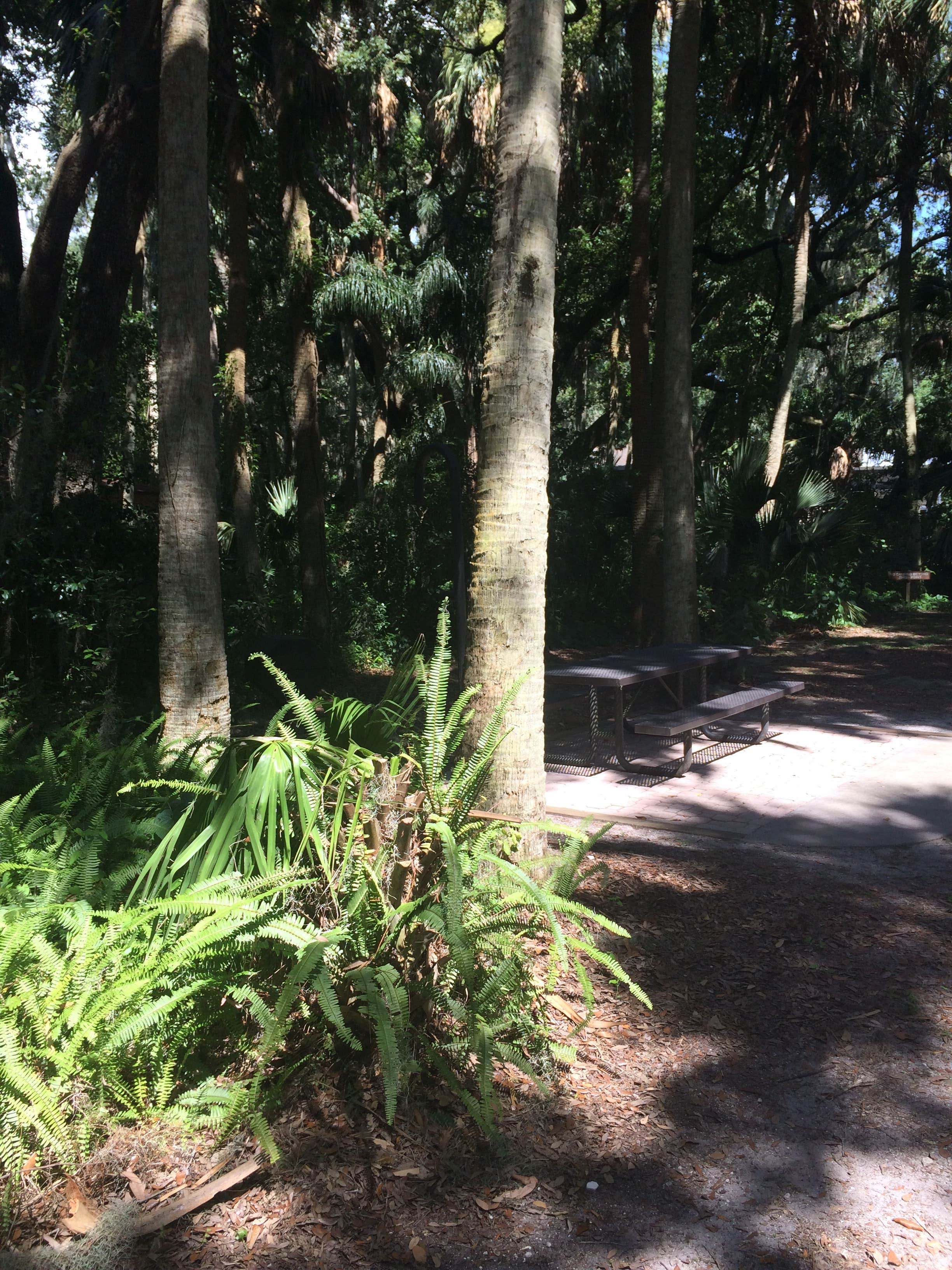 Camper submitted image from Trimble Park Campground - 2