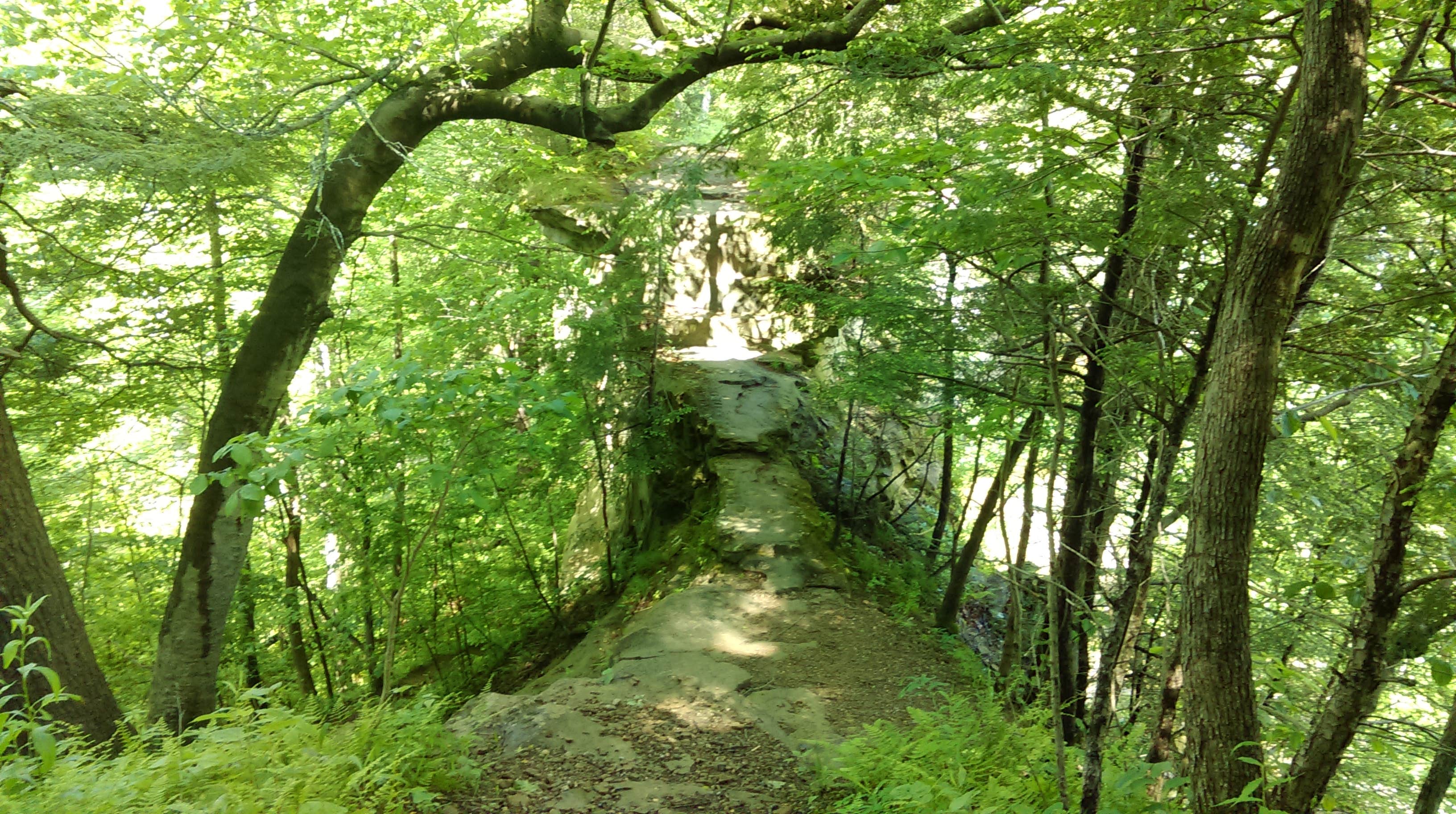 Shades State Park Campground Waveland, IN