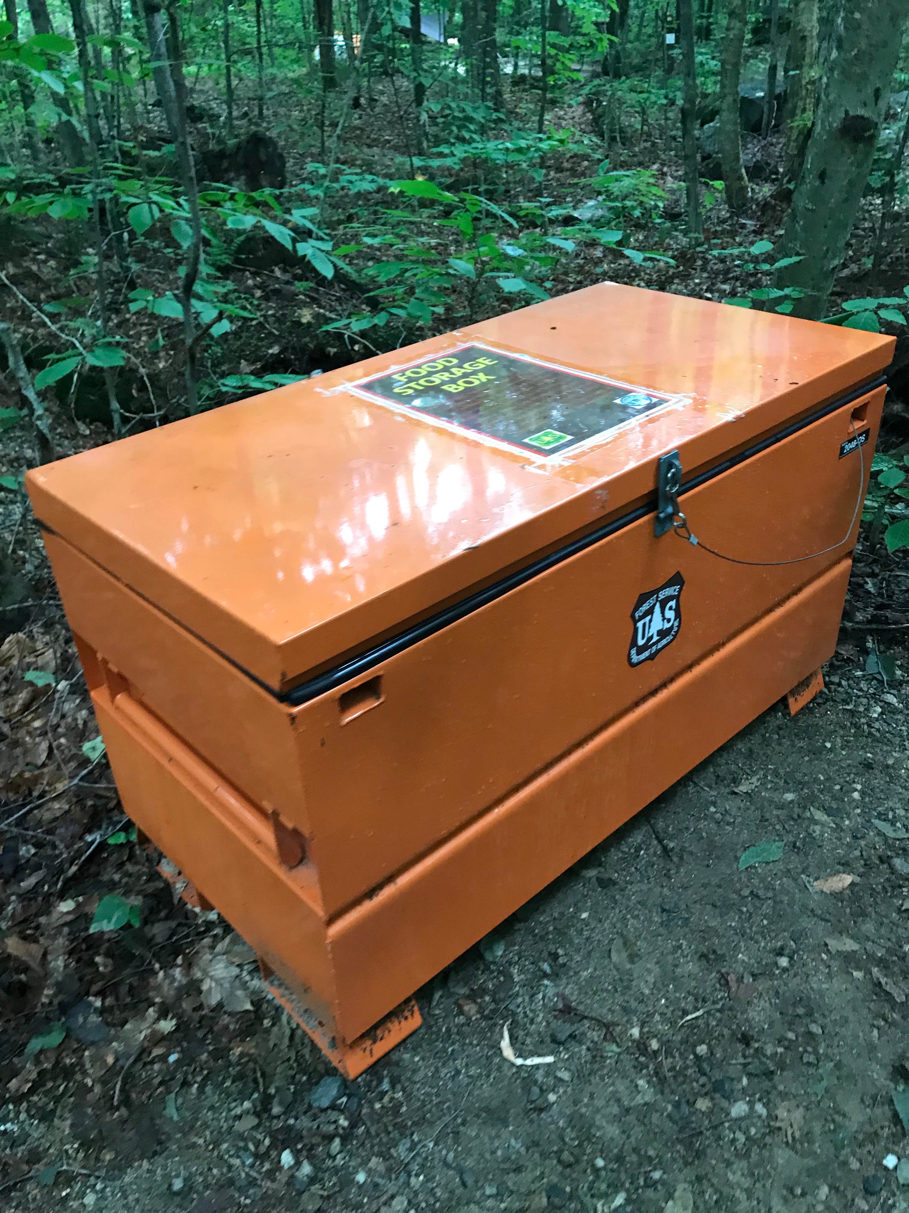 Camper submitted image from Russell Pond Campground - 3