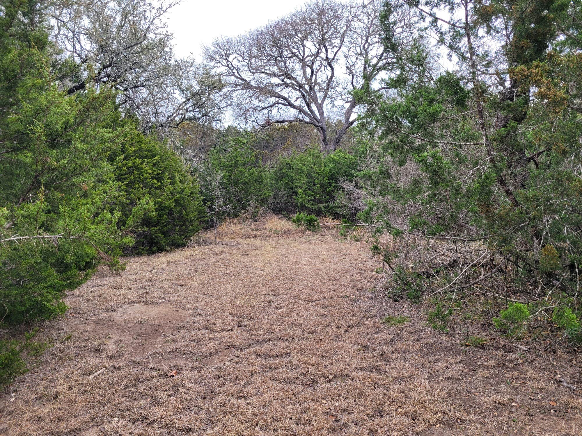 Camper-submitted photo at Al's Hideaway Cabin and RV Rentals, LLC near Bandera, TX