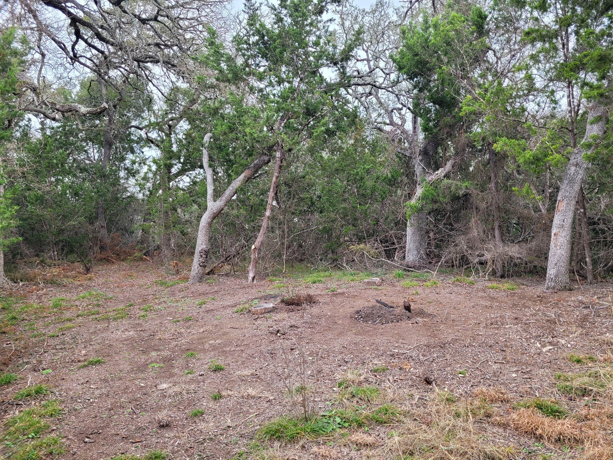 Camper-submitted photo at Al's Hideaway Cabin and RV Rentals, LLC near Bandera, TX