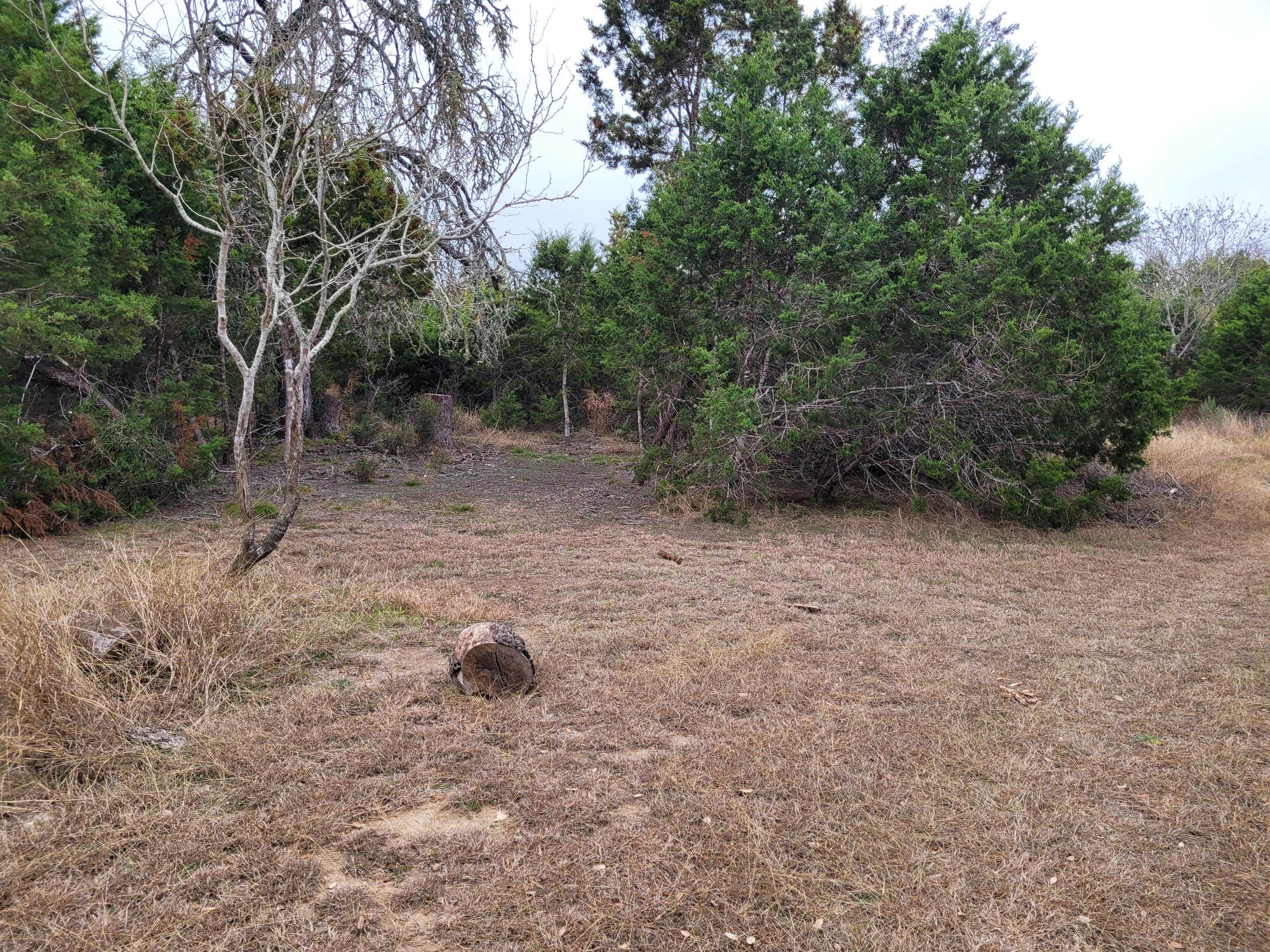 Camper-submitted photo at Al's Hideaway Cabin and RV Rentals, LLC near Boerne, TX