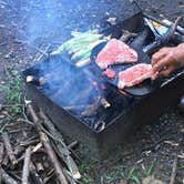 Review photo of Dingmans Campground - Delaware Water Gap NRA by Beau B., August 12, 2018