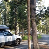 Review photo of Madison Campground — Yellowstone National Park by Megan B., August 14, 2018