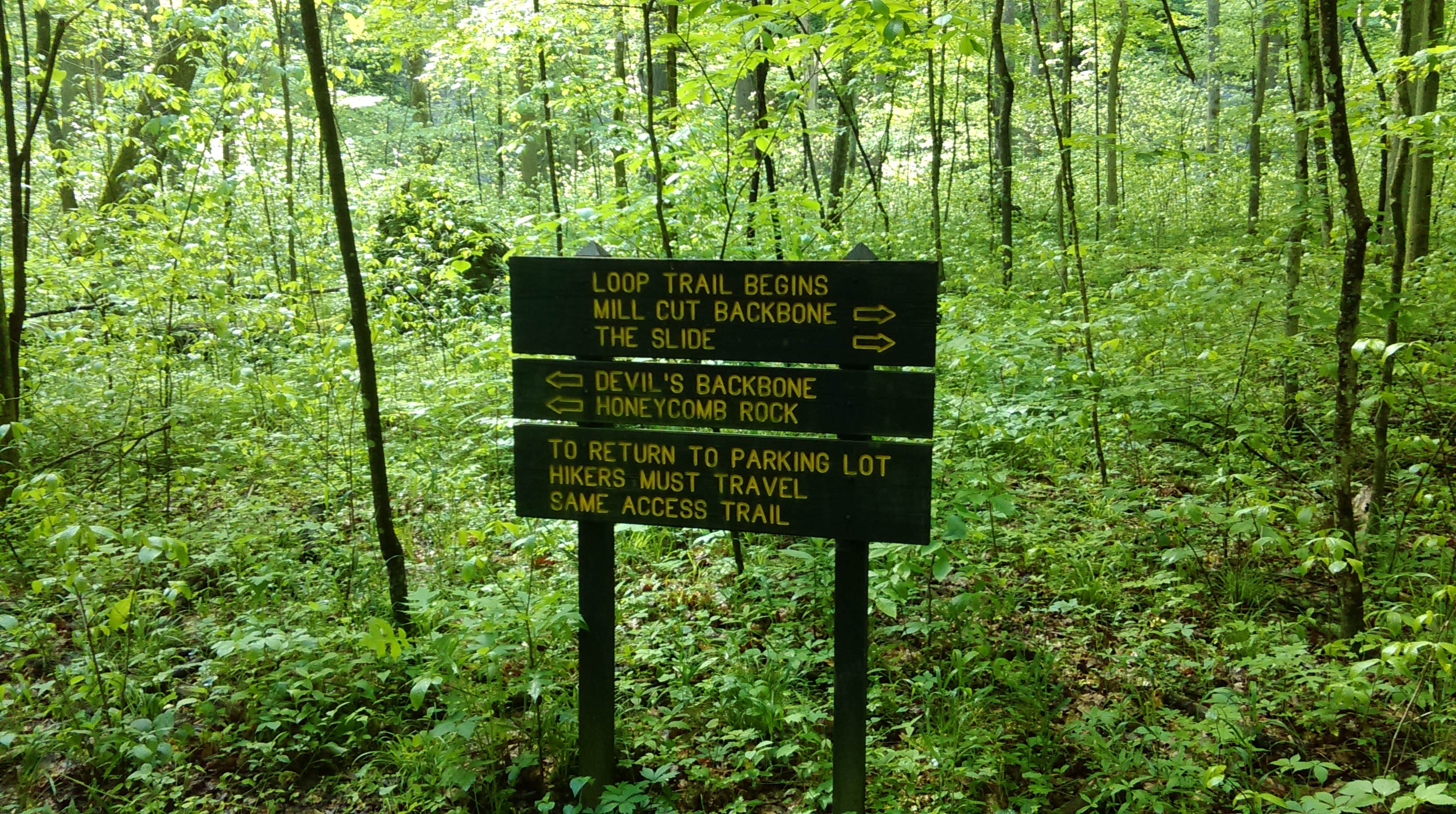 Camper-submitted photo at Shades State Park Campground near Cecil M. Harden Lake