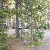 Review photo of Canyon Campground — Yellowstone National Park by Megan B., August 14, 2018