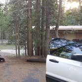 Review photo of Canyon Campground — Yellowstone National Park by Megan B., August 14, 2018