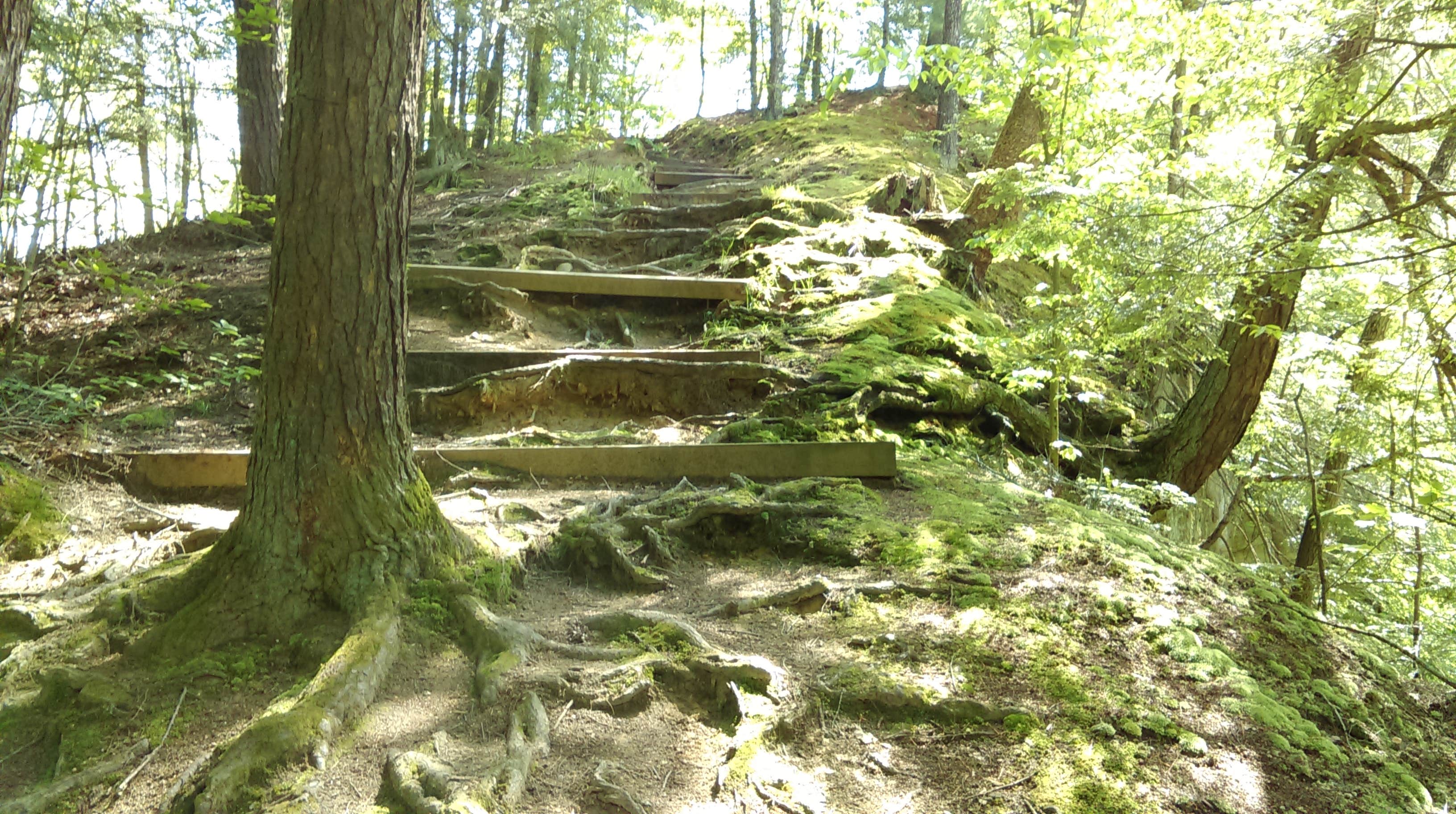 Camper-submitted photo at Shades State Park Campground near Cecil M. Harden Lake