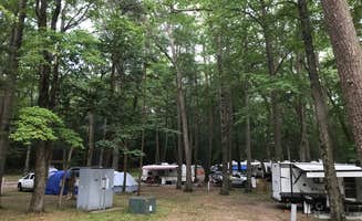 Jennie R.'s photo of rv camping at Lake Michigan Campground at Muskegon State Park Campground near Grand Haven, MI