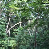 Review photo of Lake Michigan Campground at Muskegon State Park Campground by Jennie R., August 14, 2018