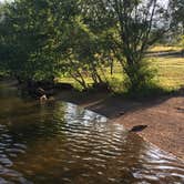 Review photo of Flatiron Reservoir Campground by Jessica H., August 14, 2018