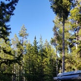 Review photo of Grant Village Campground by Megan B., August 14, 2018