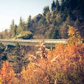 Review photo of Julian Price Park Campground — Blue Ridge Parkway by Meg  S., July 1, 2015