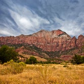 Review photo of South Campground — Zion National Park by Amanda M., August 14, 2018