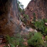 Review photo of South Campground — Zion National Park by Amanda M., August 14, 2018