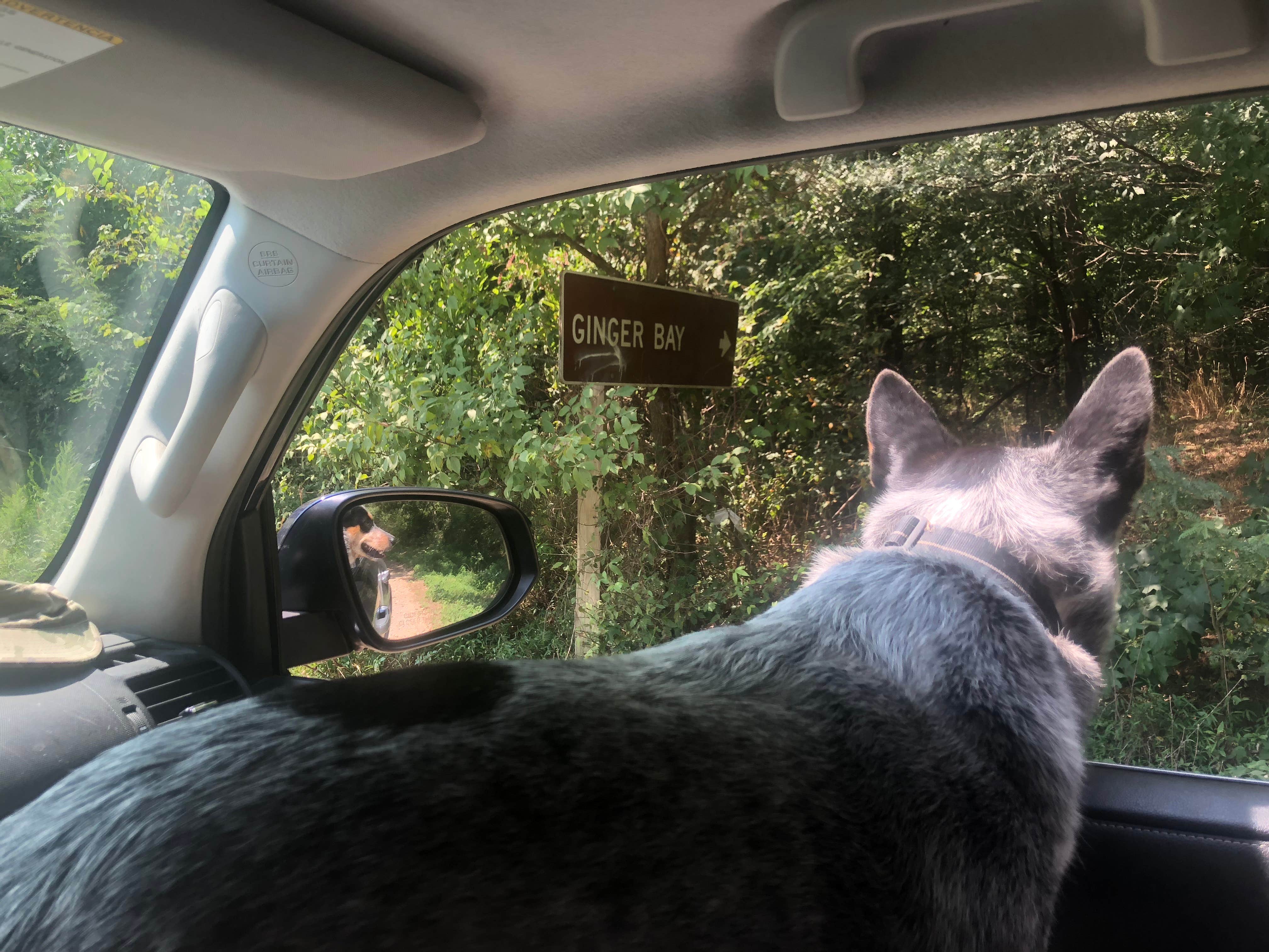 Camper-submitted photo at Ginger Bay Basic Camping Area near Bumpus Mills, TN