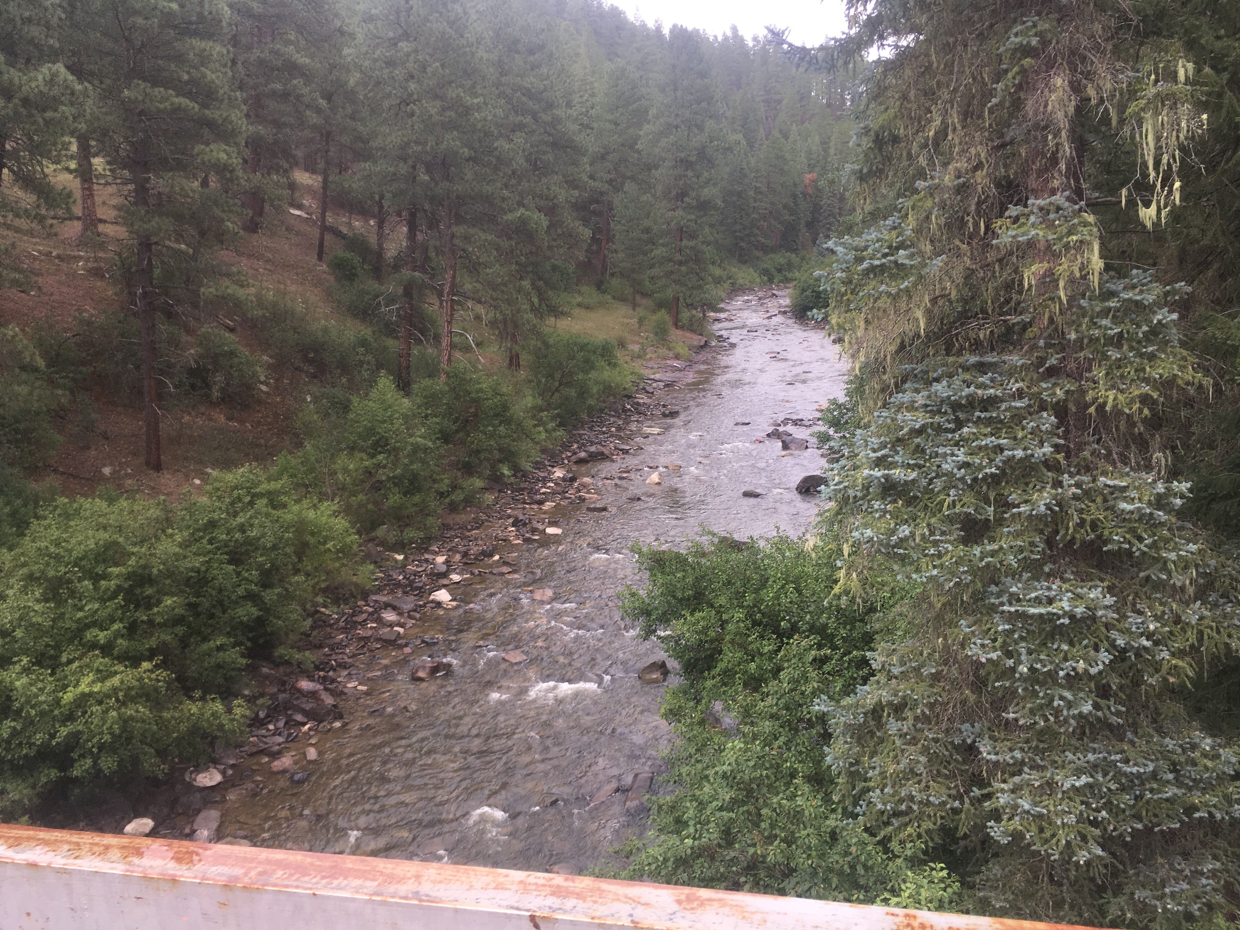 View from the bridge at the campground. 