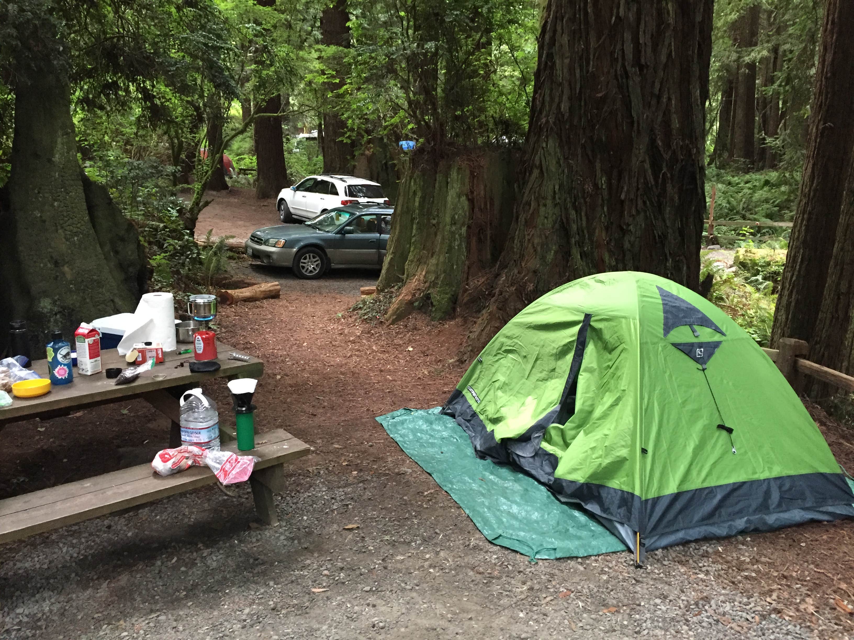 Camper submitted image from Emerald Forest Cabins & RV - 4