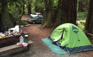 Elise Z.'s photo at Emerald Forest Cabins & RV near Hoopa, CA