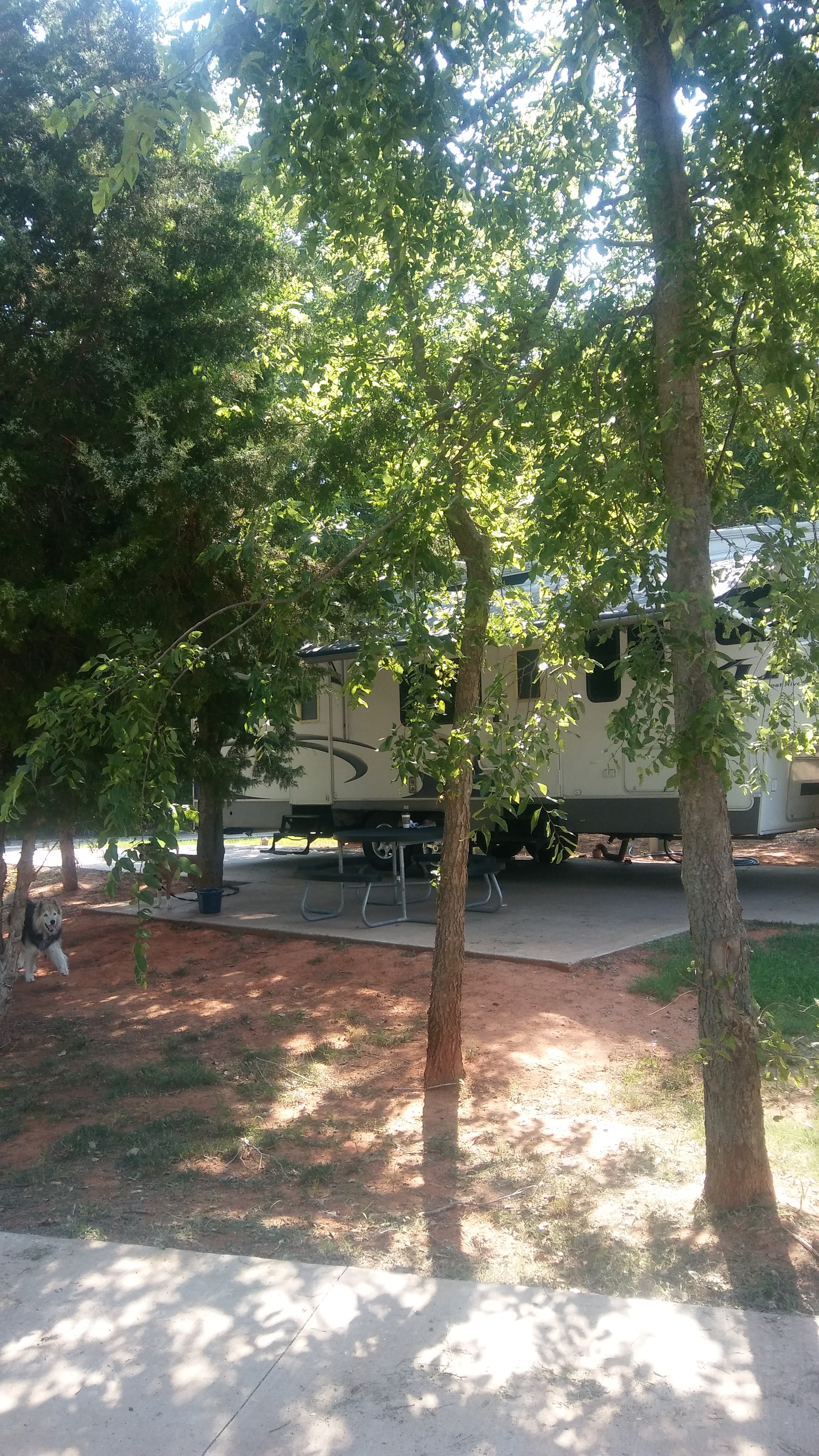Camper submitted image from Water-Zoo Campground - 2
