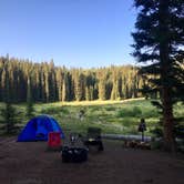 Review photo of Priest Lake Dispersed Camping Area by Derrik E., August 14, 2018