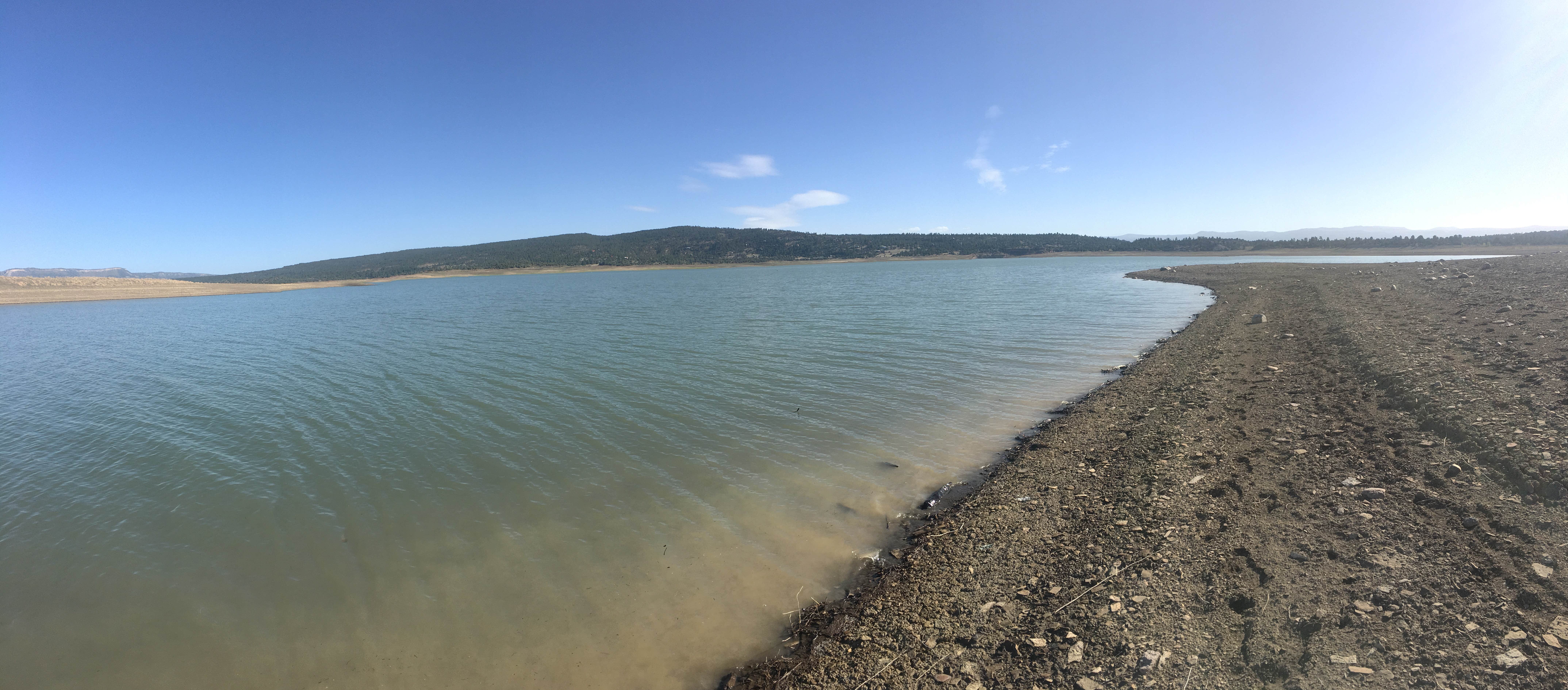 Heron Lake: A Tranquil Oasis in the Heart of New Mexico