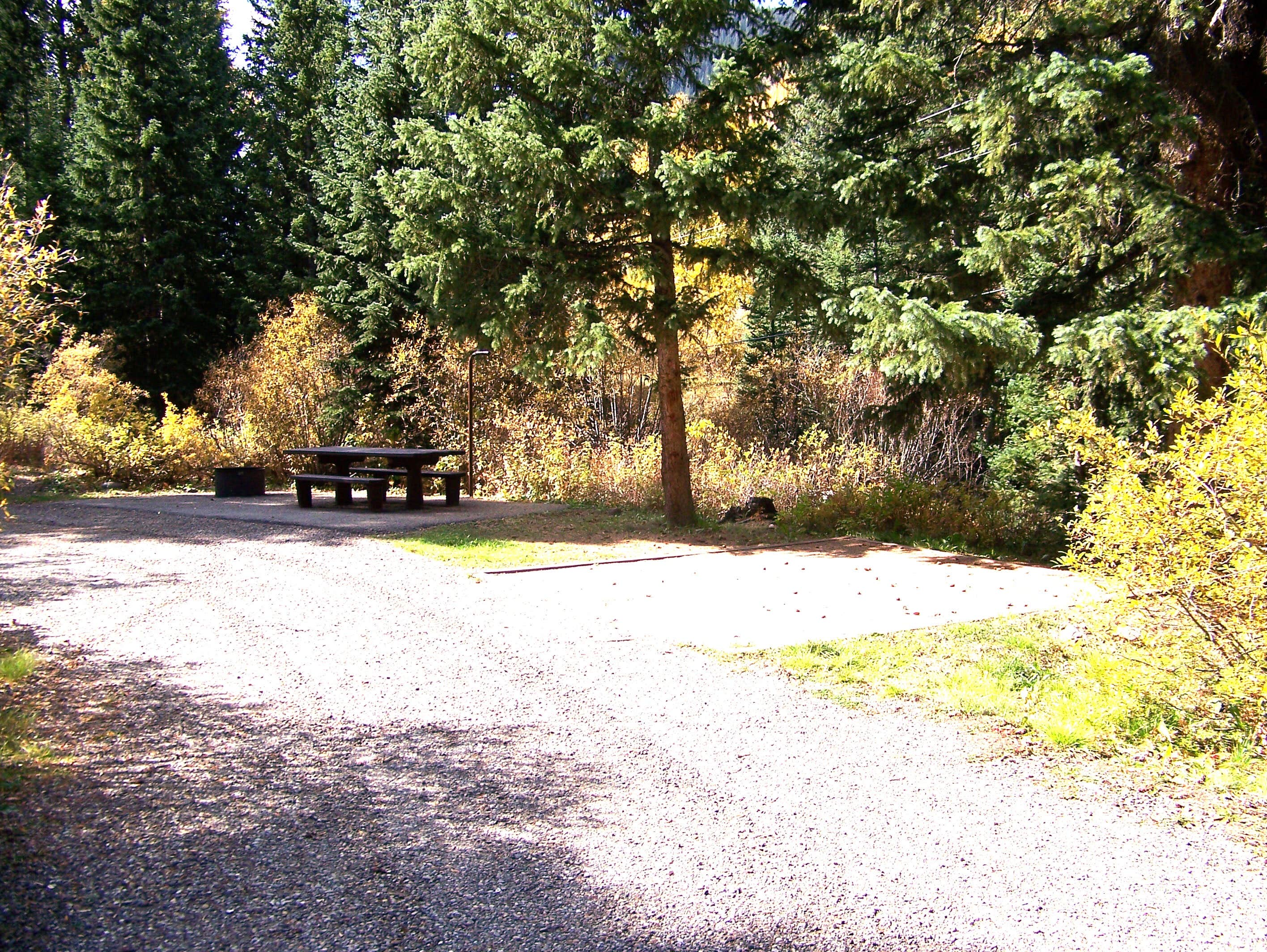 Camper submitted image from Matterhorn — Grand Mesa, Uncompahgre And Gunnison National Forest - 2