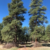 Review photo of Ute Campground by Brooke C., August 14, 2018