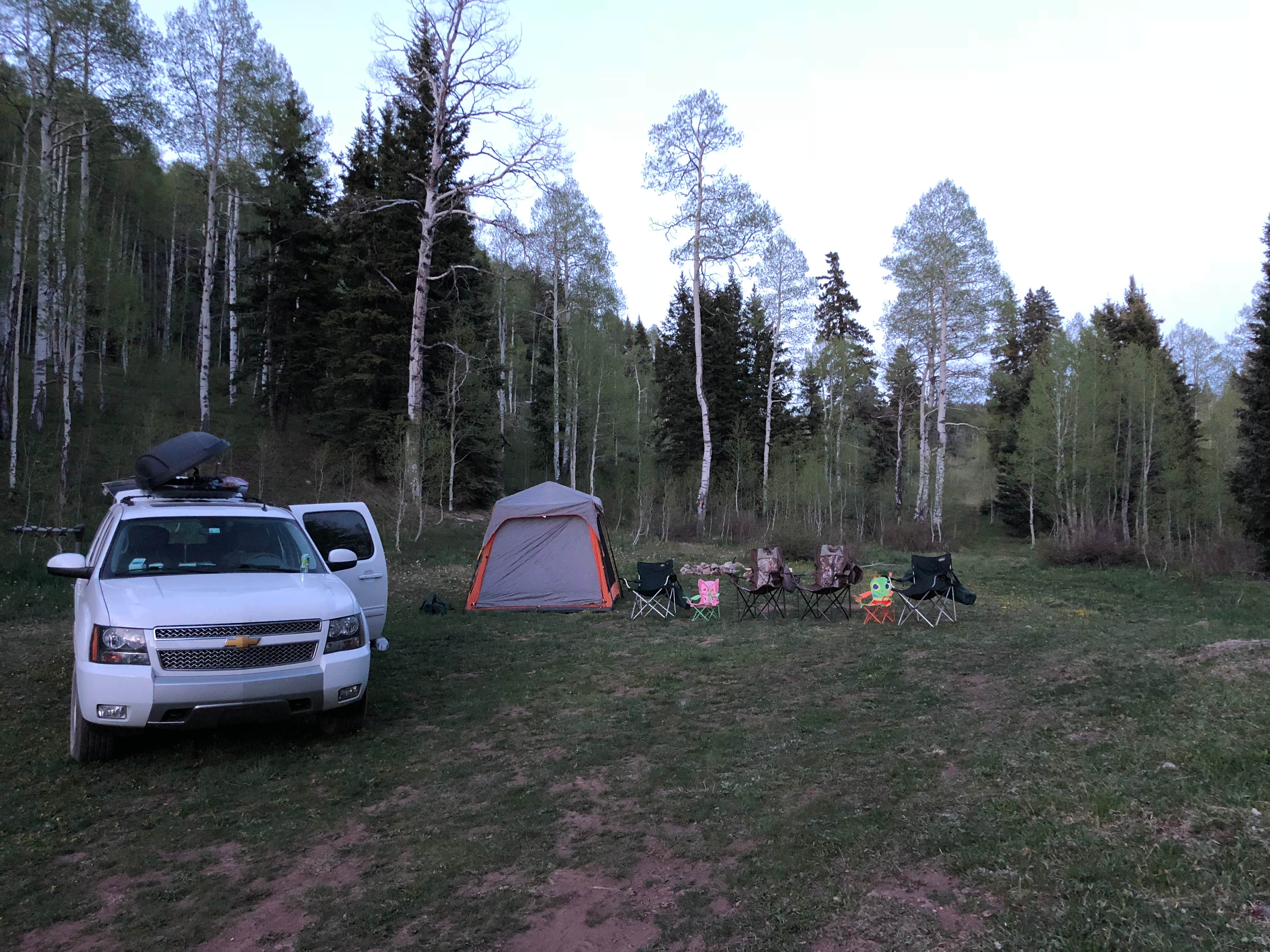 Camper-submitted photo at Hermosa Park Road Dispersed near Rico, CO