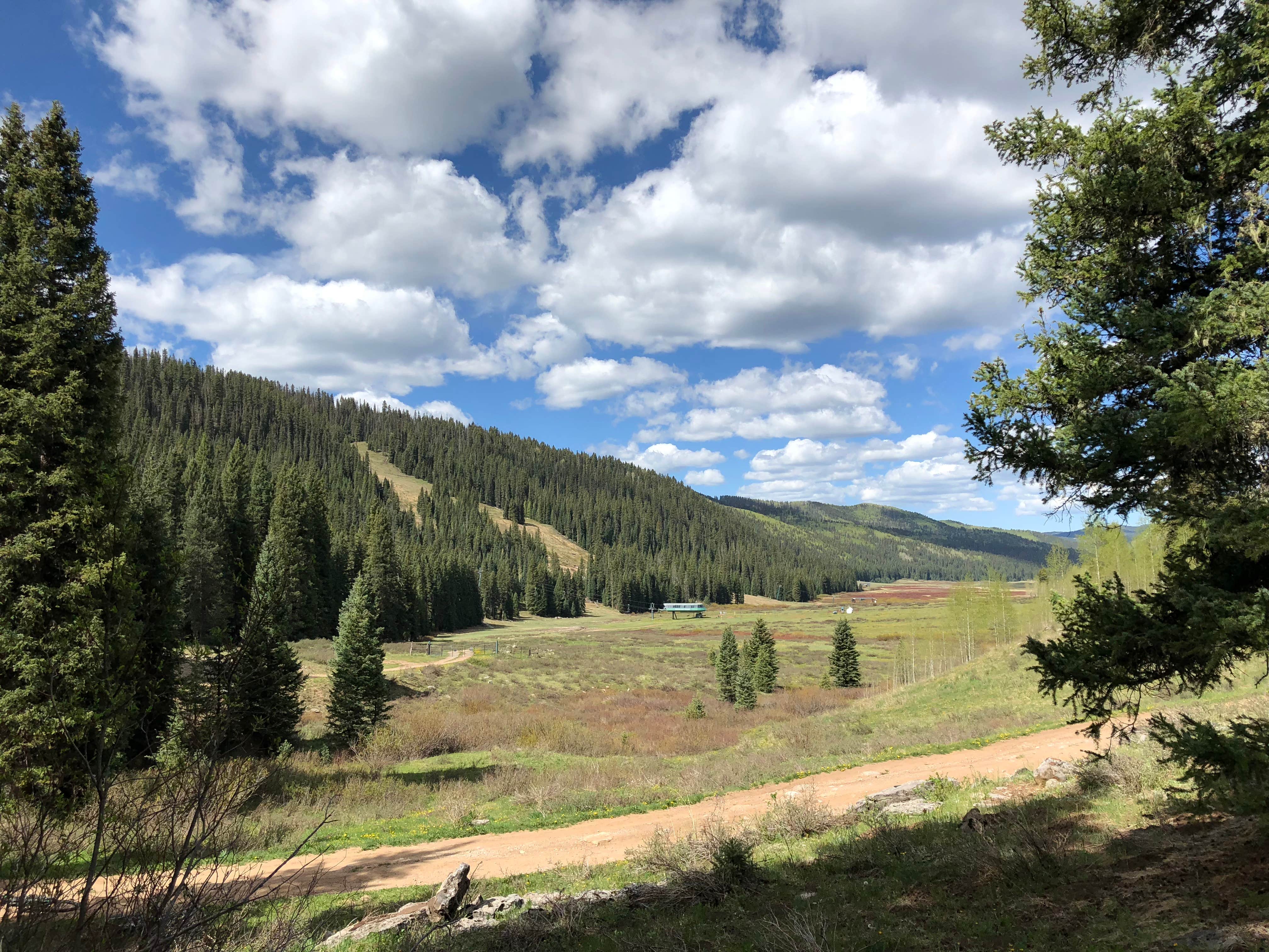 Camper-submitted photo at Hermosa Park Road Dispersed near Rico, CO