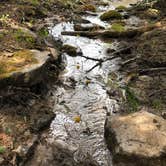 Review photo of Hermosa Park Road Dispersed by Brooke C., August 14, 2018