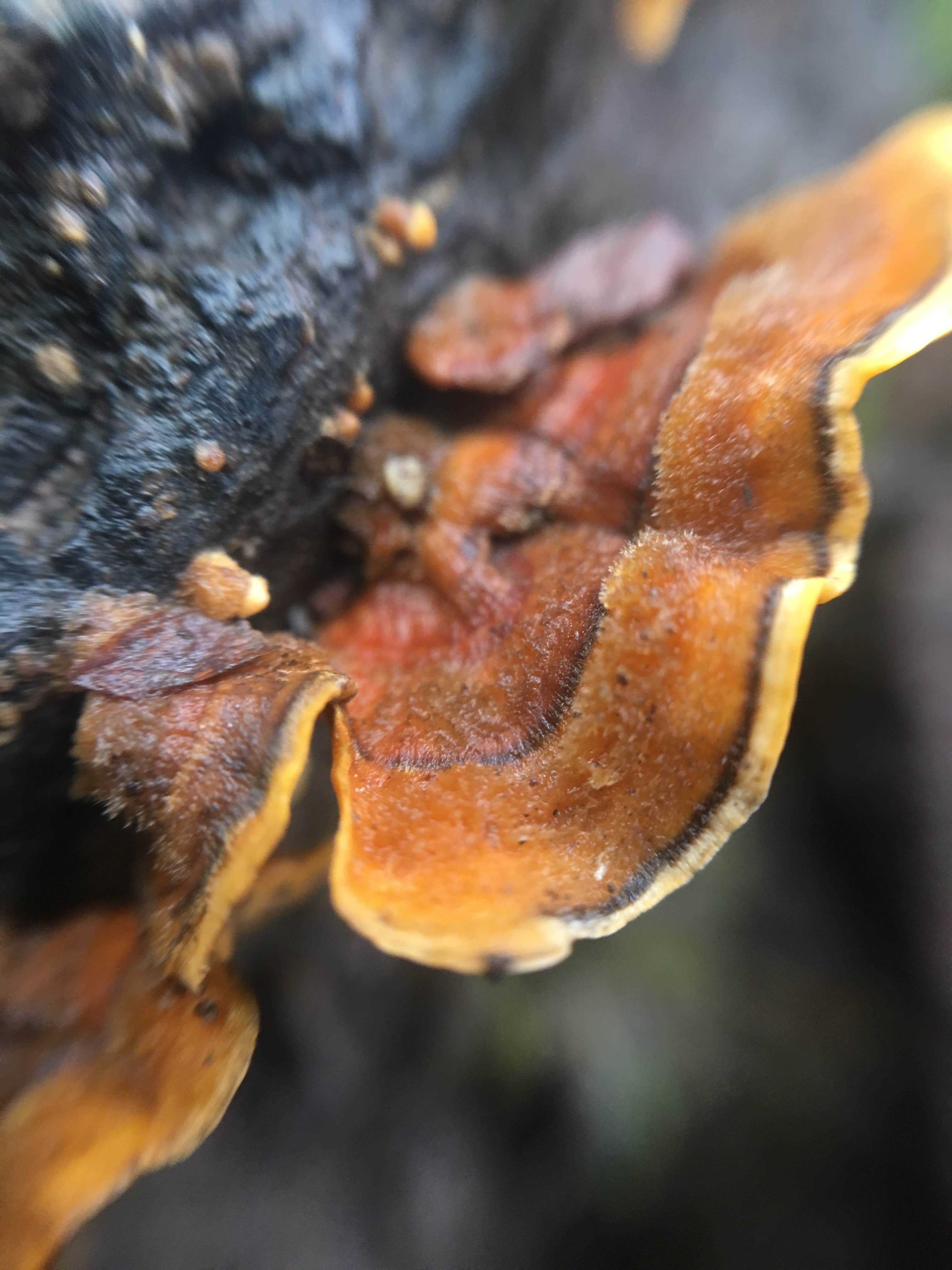 Camper-submitted photo at Shikellamy State Park Campground near Harrisburg, PA