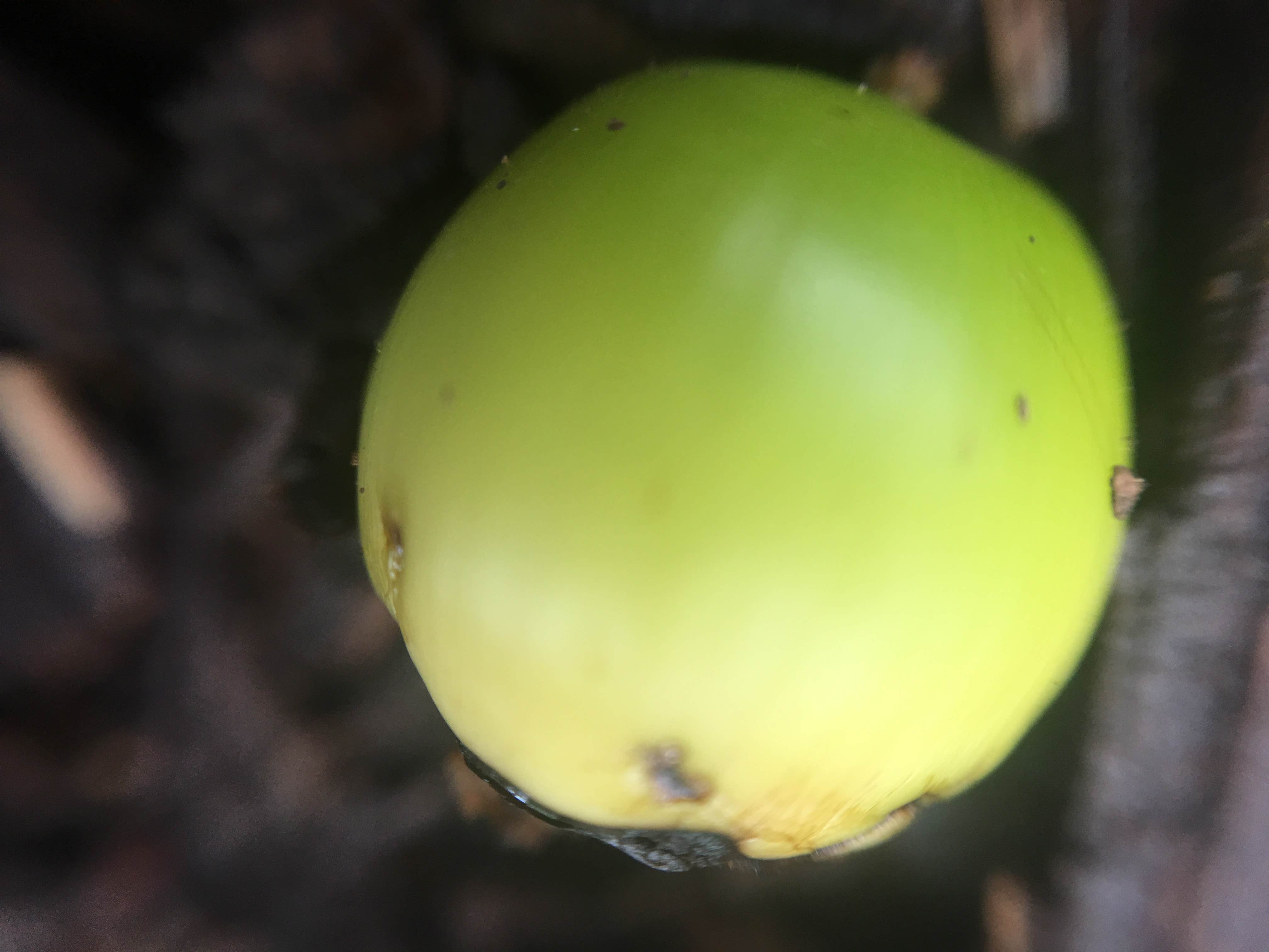 Camper-submitted photo at Shikellamy State Park Campground near Harrisburg, PA