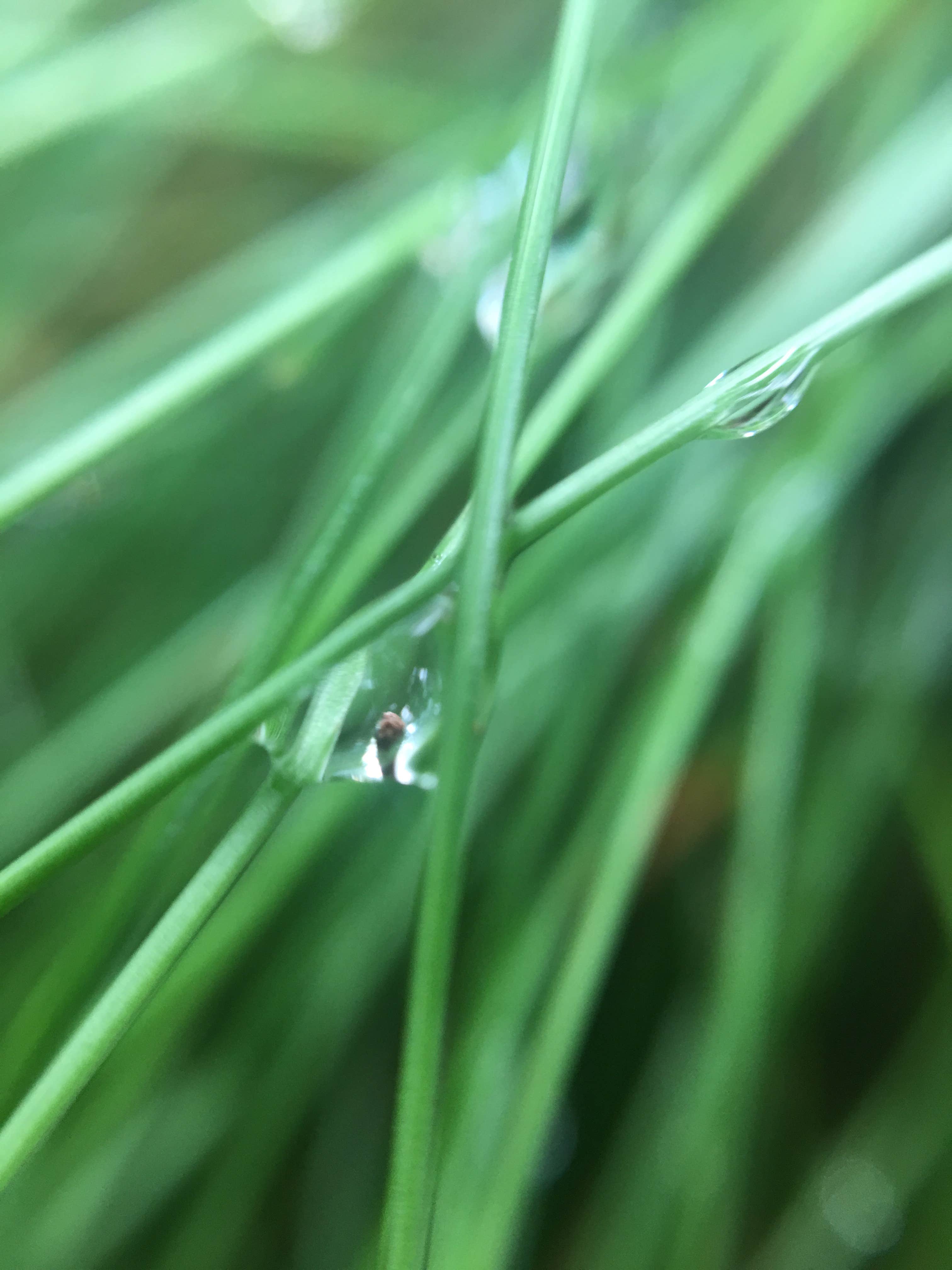 Camper-submitted photo at Shikellamy State Park Campground near Harrisburg, PA