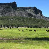 Review photo of Yellowstone Park-Mountainside KOA by Andrew P., August 14, 2018