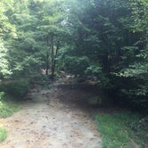 Review photo of Hocking Hills State Park Campground by Andrew P., August 14, 2018