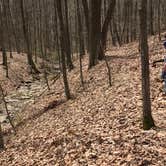 Review photo of East Fork State Park Campground by Andrew P., August 14, 2018