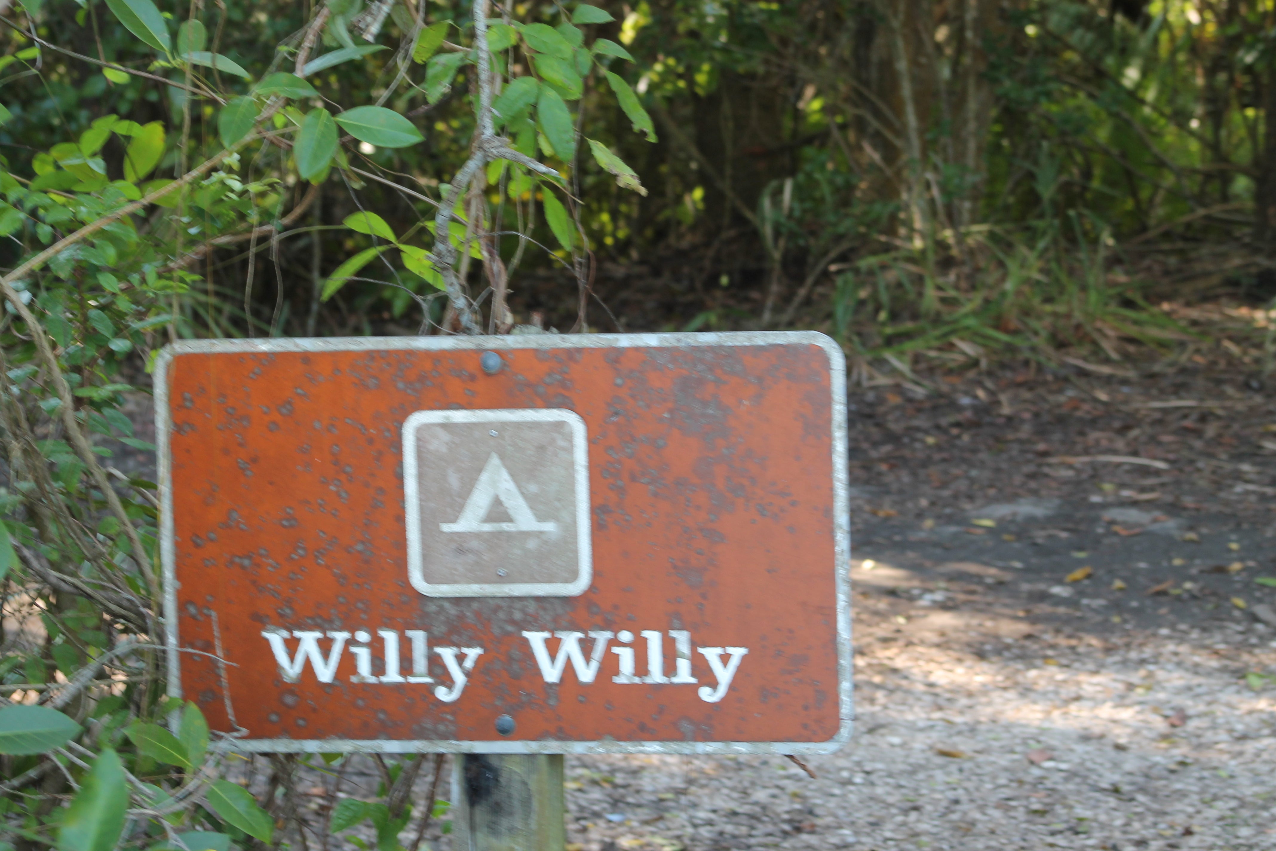 Camper submitted image from Willy Willy Wilderness Campground — Everglades National Park - 4