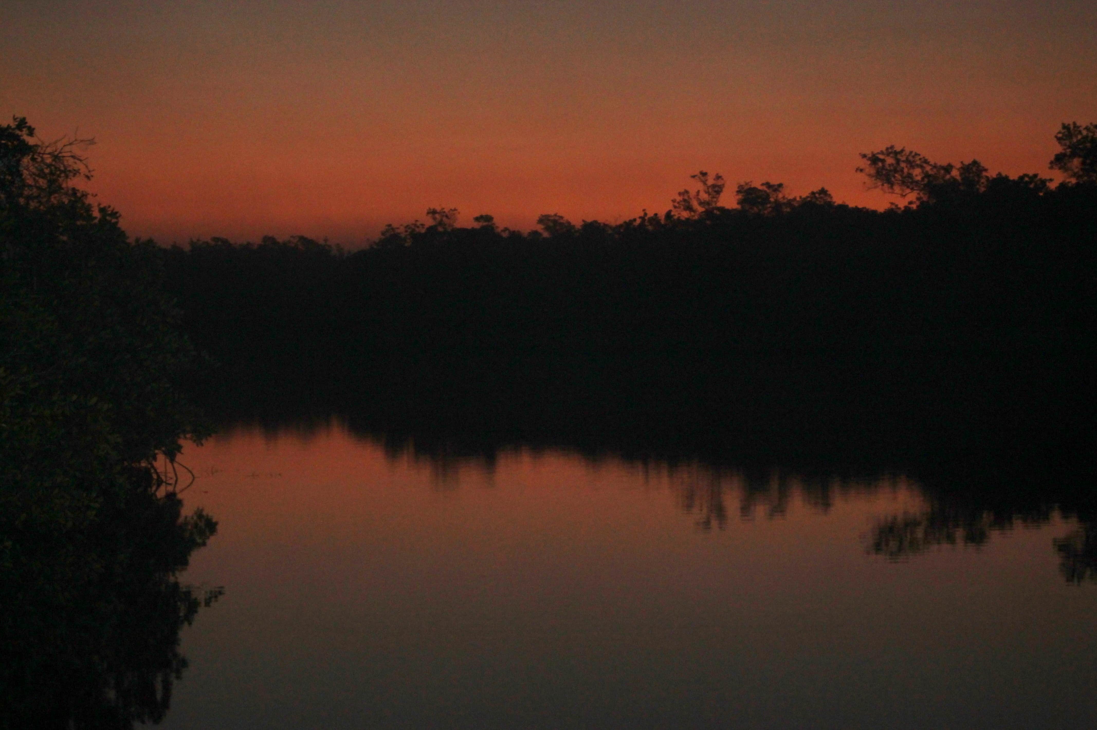 Camper-submitted photo at Willy Willy Wilderness Campground — Everglades National Park near Everglades National Park
