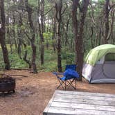 Review photo of Adventure Bound Camping Resorts Cape Cod: North Truro by Ashlee L., April 13, 2018