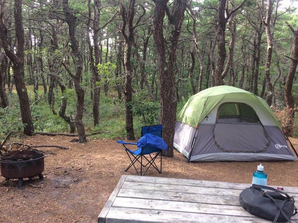 Camper submitted image from Adventure Bound Camping Resorts Cape Cod: North Truro - 4