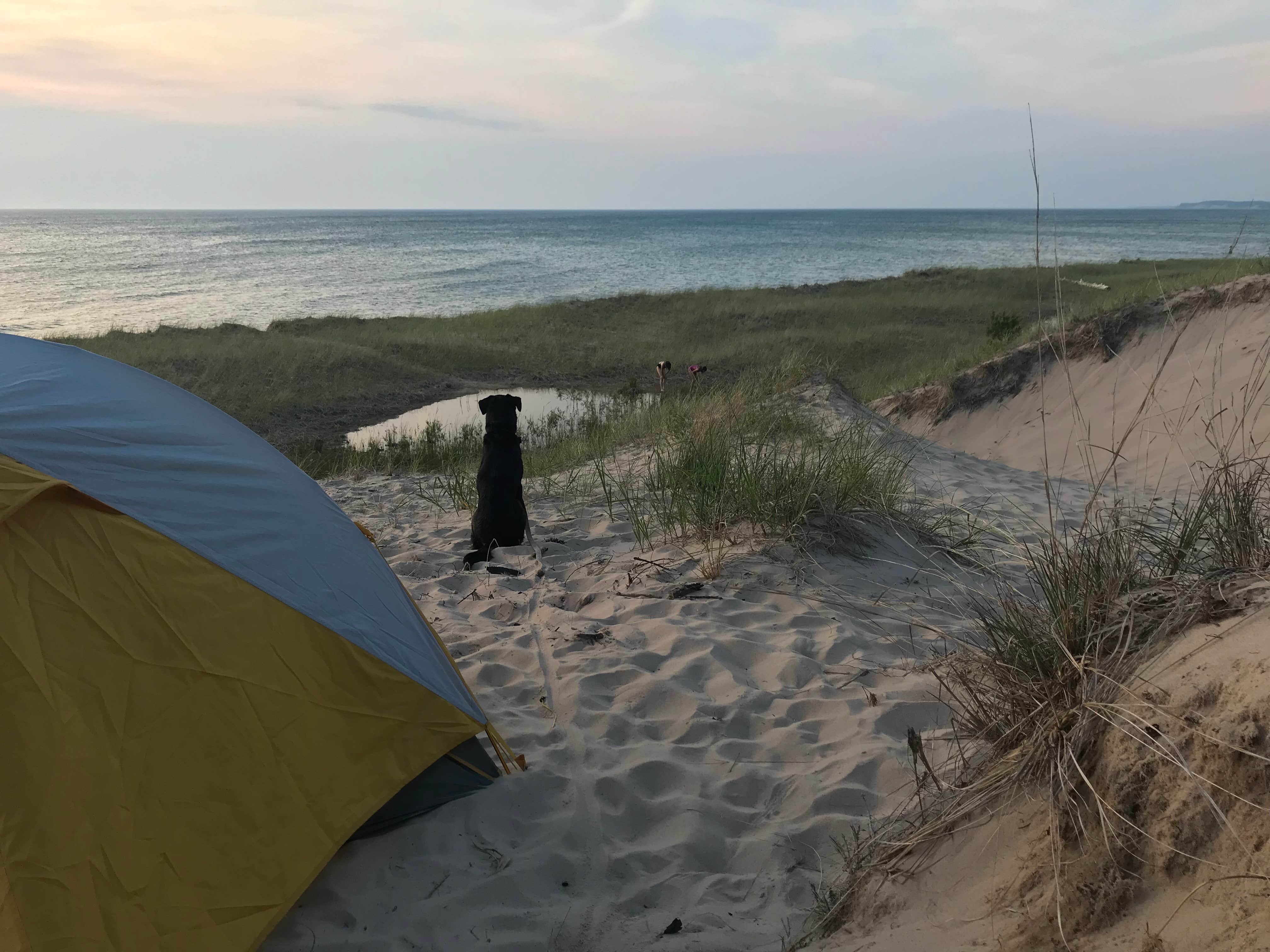 Jen W.'s photo at Nordhouse Dunes Wilderness near Manistee, MI