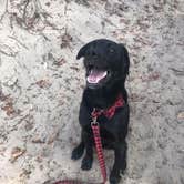 Review photo of Hoffmaster State Park Campground by Jen W., August 14, 2018
