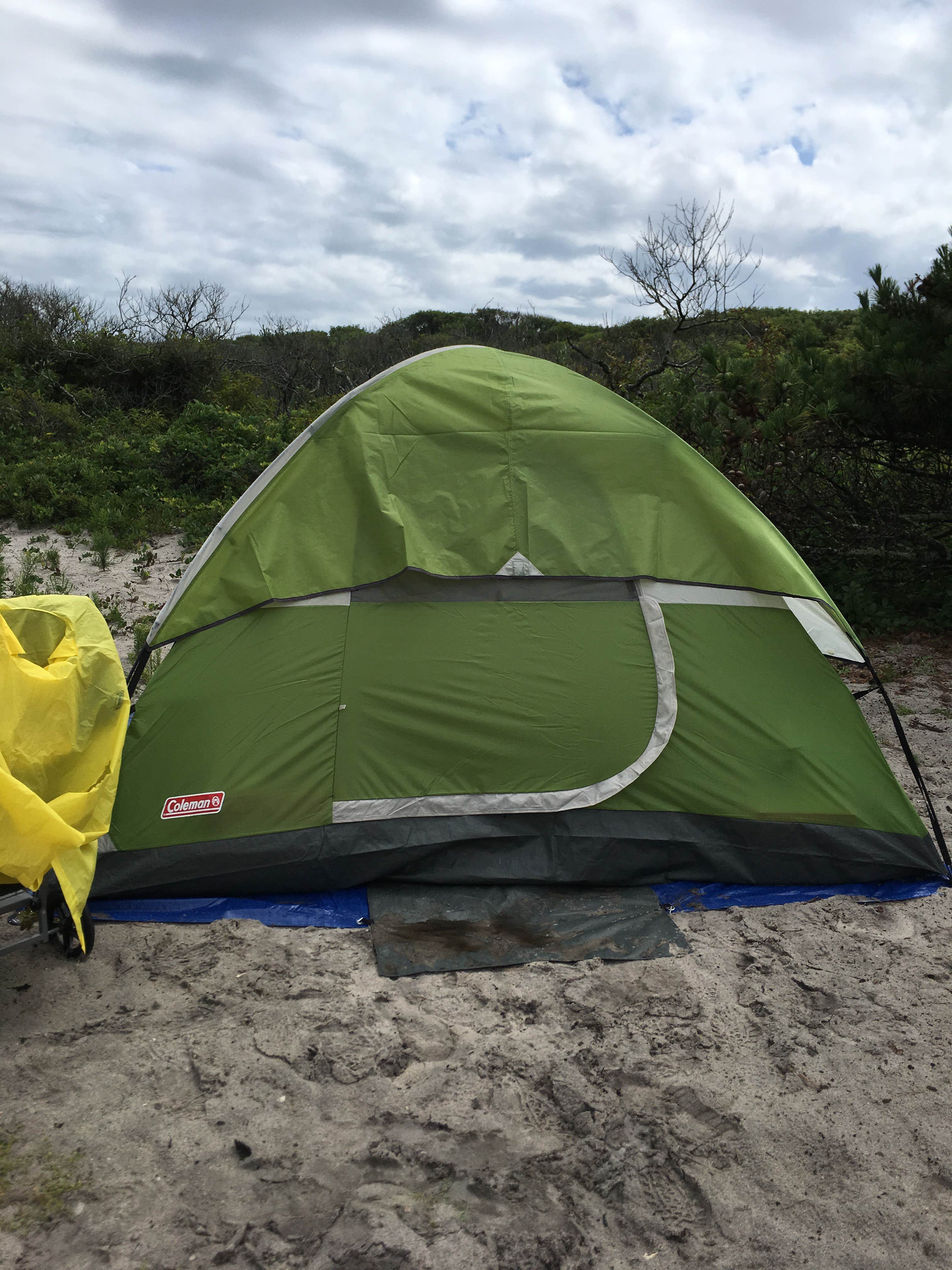 Camper submitted image from Watch Hill Family Campground — Fire Island National Seashore - 2