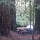 Review photo of Lower Blooms Creek — Big Basin Redwoods State Park — CAMPGROUND CLOSED by Brittany S., August 14, 2018