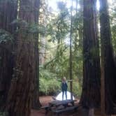 Review photo of Lower Blooms Creek — Big Basin Redwoods State Park — CAMPGROUND CLOSED by Brittany S., August 14, 2018