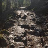 Review photo of Yosemite Creek — Yosemite National Park by Brittany S., August 14, 2018